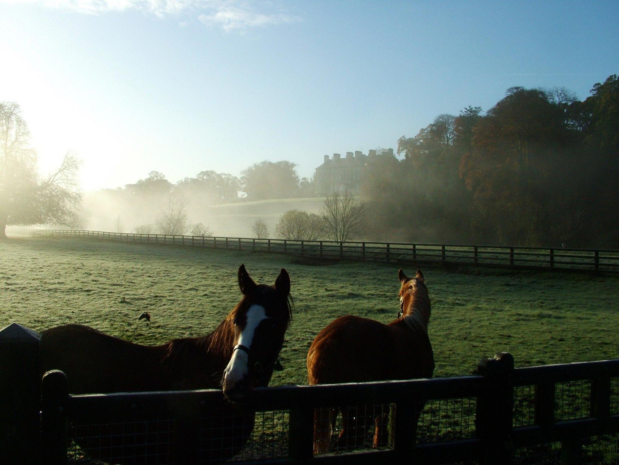 Hotel Mount Juliet Estate Manor House Thomastown  Esterno foto